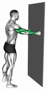 Knuckle Push-Up against Wall demo