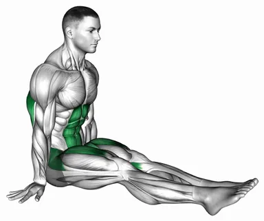 L-Sit on Floor demo