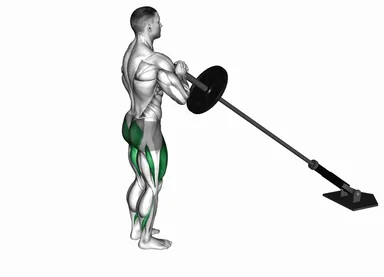 Landmine Rear Lunge (VERSION 2) demo