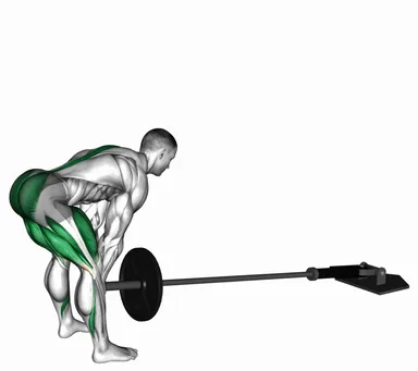 Landmine Romanian Deadlift (VERSION 2) demo