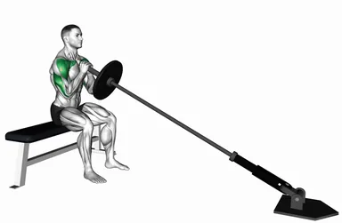 Landmine Seated Shoulder Press demo