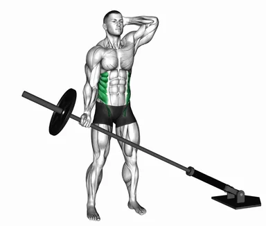 Landmine Standing Side Bend (VERSION 2) demo