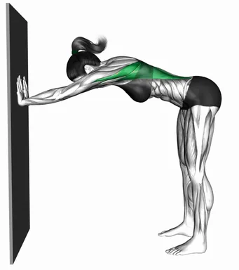 Lat Stretch against Wall demo