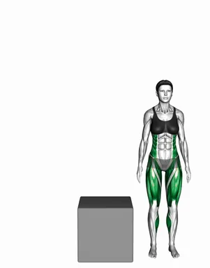 Lateral Box Jump demo