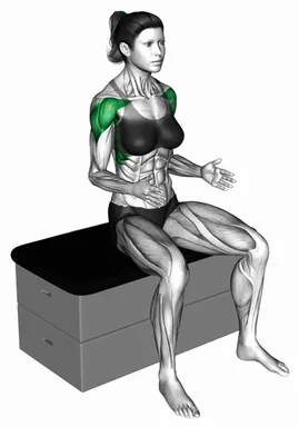 Lateral Raise (Bent Arms) demo