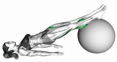 Leg Curl (on Stability Ball) demo