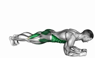 Front Plank Leg Lift to Chest demo