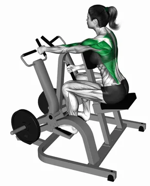 Lever Alternating Narrow Grip Seated Row (plate loaded) demo