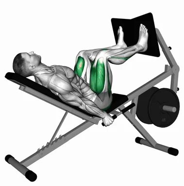 Lever Bench Leg Press demo