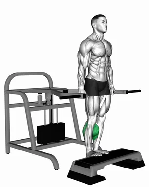 Lever Calf Raise (bench press machine) demo