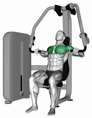 Lever Chest Press (VERSION 3) demo