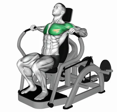 Lever Chest Press (VERSION 4) demo