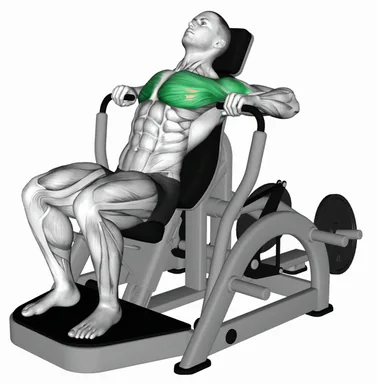Lever Decline Chest Press (VERSION 2) demo