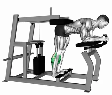 Lever Donkey Calf Raise demo