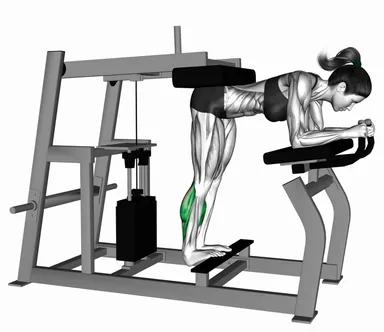 Lever Donkey Calf Raise (Demo 2) demo