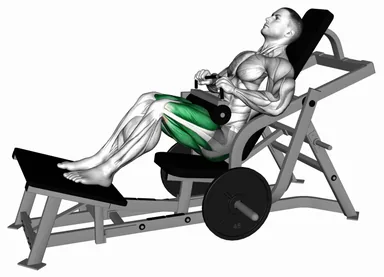 Lever Hip Thrust (Plate Loaded) demo