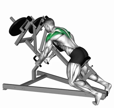 Lever Incline Chest Supported Reverse Delt Fly (plate loaded) demo
