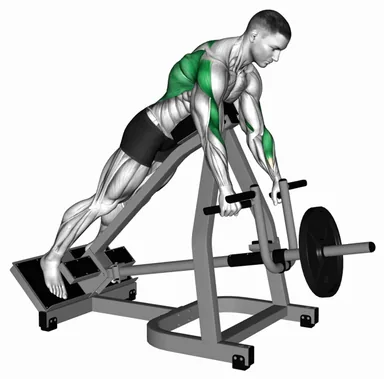 Lever Incline Prone Row demo
