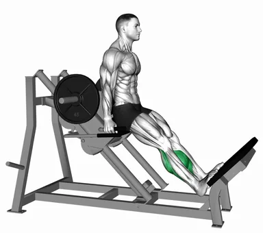 Lever Linear Calf Raise demo