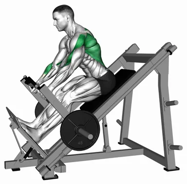 Lever Linear Row demo