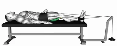 Lever Lying Knee Flexion demo