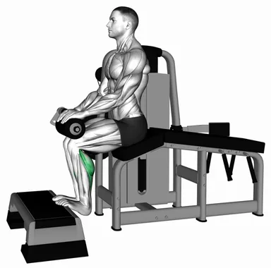 Lever Lying Leg Curl Calf Raise demo