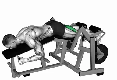 Lever Lying Leg Curl (plate loaded) demo