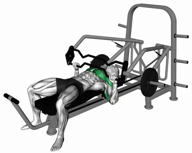 Lever Multi Chest Press demo