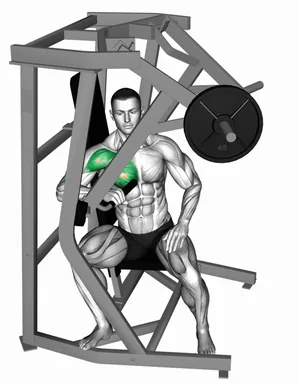 Lever One Arm Side Chest Press demo
