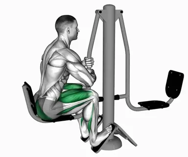 Lever Outdoor Seated Leg Press demo