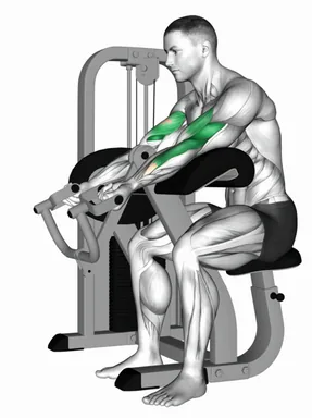 Lever Preacher Curl (VERSION 2) demo