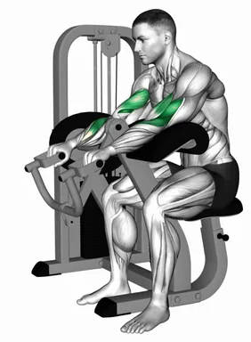 Lever Reverse Grip Preacher Curl demo
