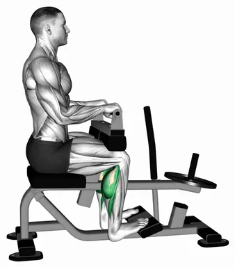 Lever Seated Calf Raise (plate loaded) (VERSION 2) demo