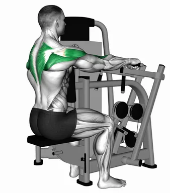 Lever Seated Delt Row demo