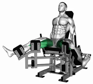 Lever Seated Hip Abduction (VERSION 2) demo