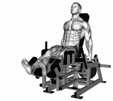 Lever Seated Hip Adduction (VERSION 2) demo