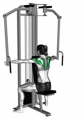 Lever Seated Neutral Grip Reverse Fly demo