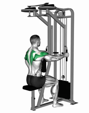 Lever Seated Reverse Fly (Parallel Grip) demo