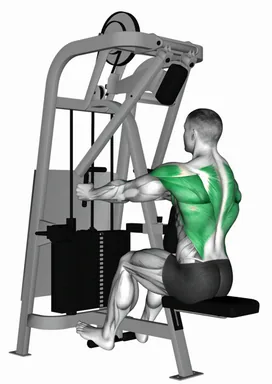 머신 시티드 로우 (버전 2) 자세 시연
