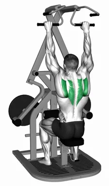 Lever Seated Scapular Retraction (plate loaded) demo