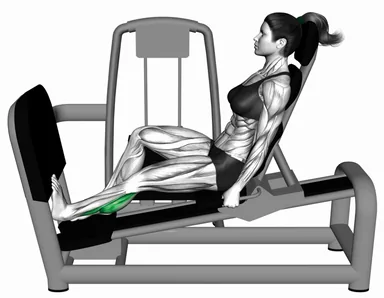 Lever Seated Single Calf Press demo