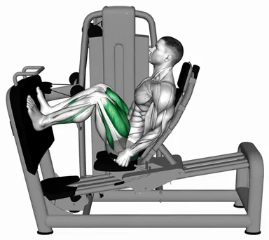 Lever Seated Squat demo