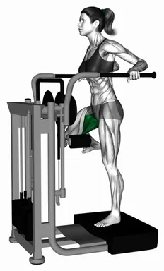 Lever Side Hip Adduction (Demo 2) demo