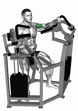 Lever Single Arm Bicep Curl demo