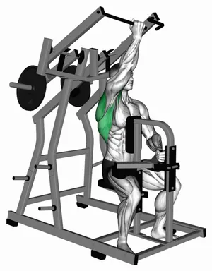 Lever Single Arm Reverse grip Lateral Pulldown (plate loaded) demo