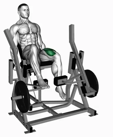 Lever Single Leg Extension (Plate Loaded) demo