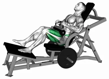 Lever Single Leg Hip Thrust (plate loaded) demo