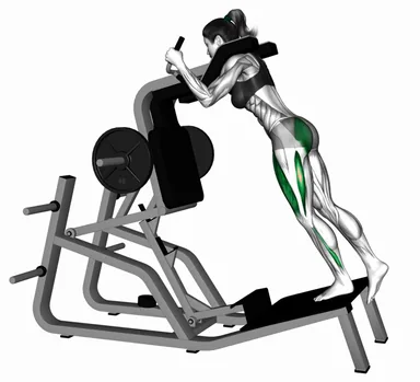 Lever Single Leg Squat on Hack Squat Machine demo