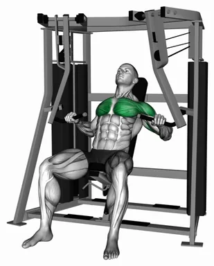 Lever Stack Seated Decline Chest Press demo