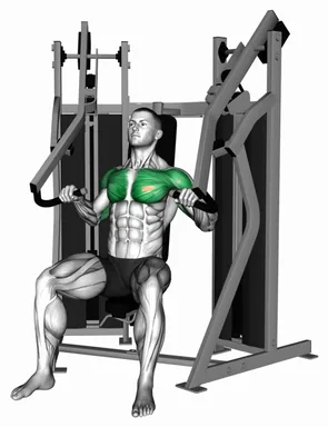 Lever Stack Seated Incline Chest Press demo